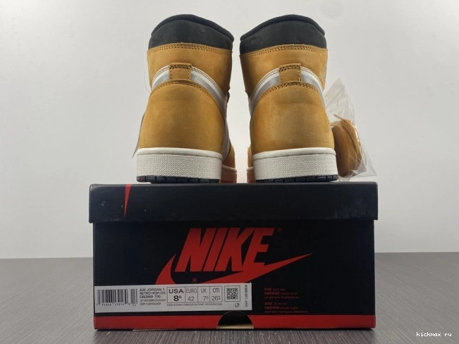 Rep MAX 1 Light DB2889-700 Jordan High Gore-Tex Curry Element 0822